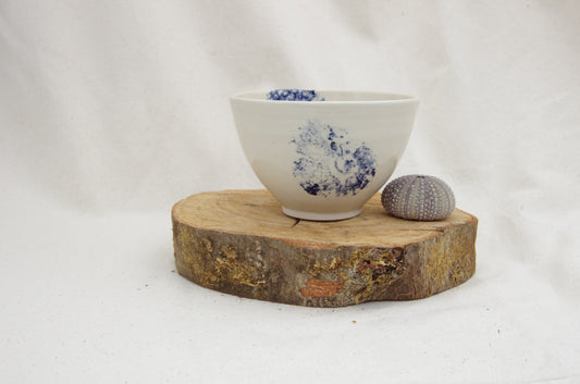 Petit saladier décor fossile